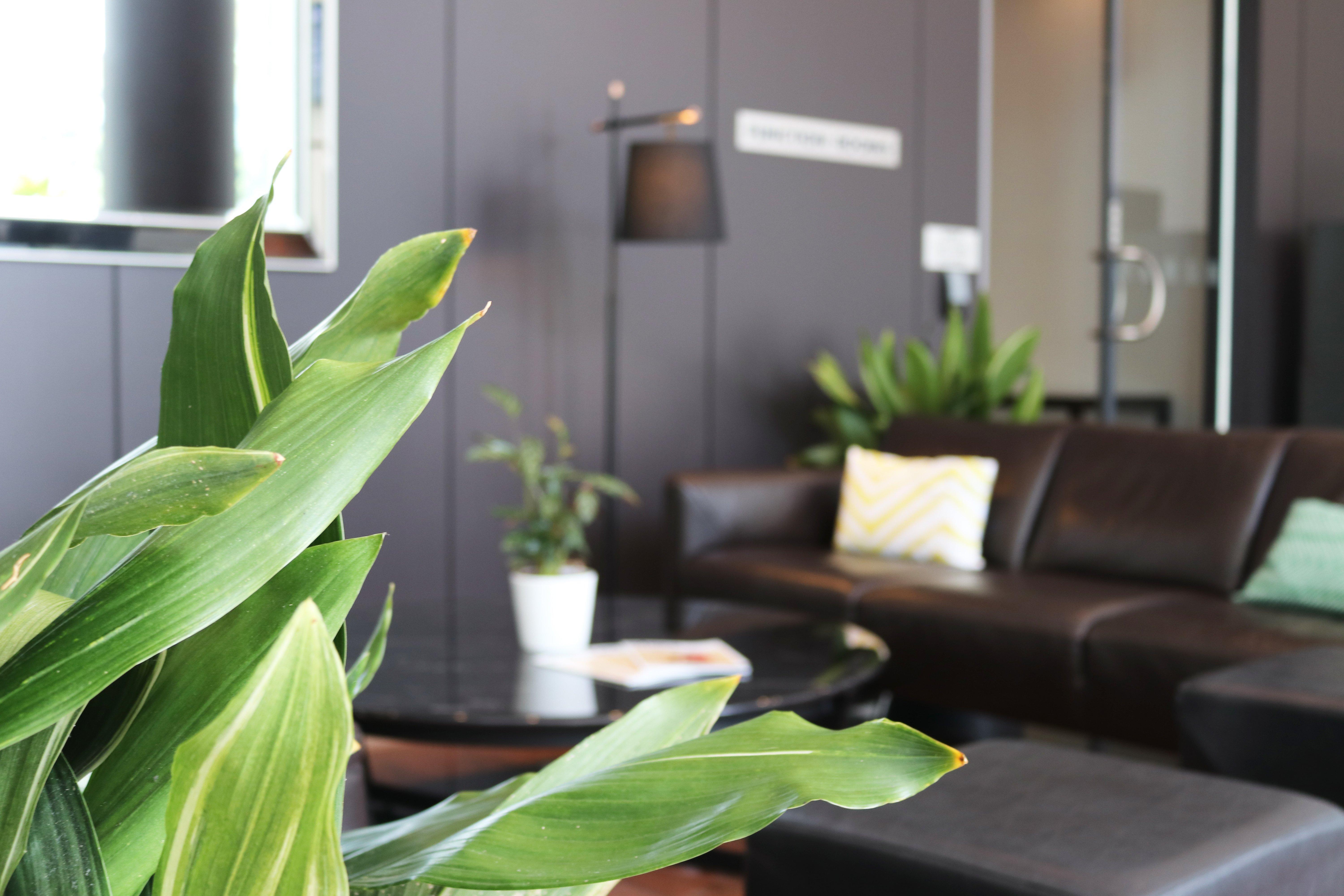 Hotel Crowne Plaza Sydney Airport By Ihg Exterior foto